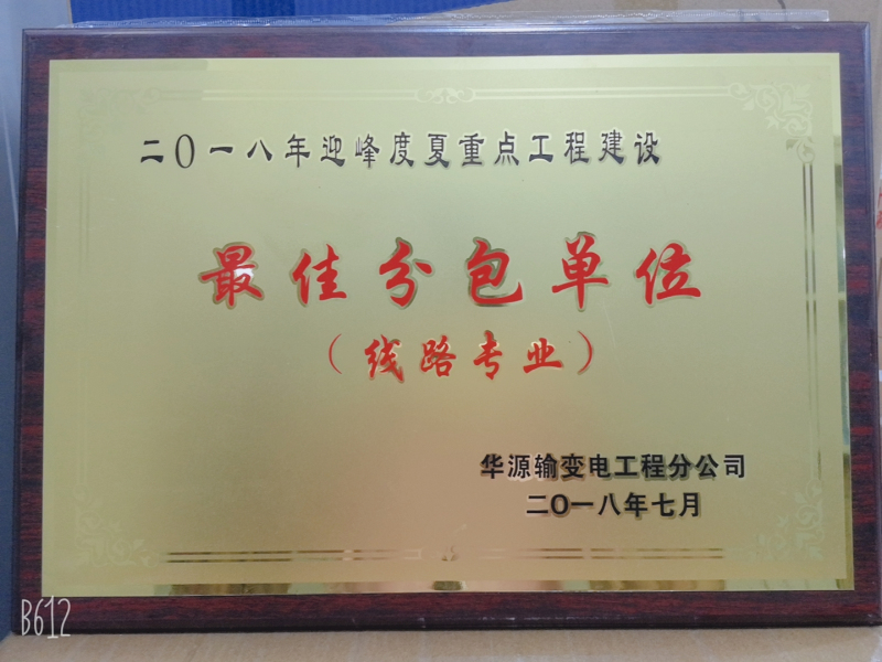2018年迎峰度夏重點工程建設最佳分包單位.jpg