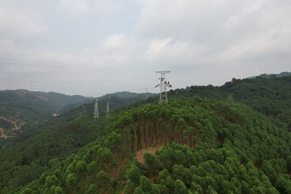9號(hào)緊線.jpg